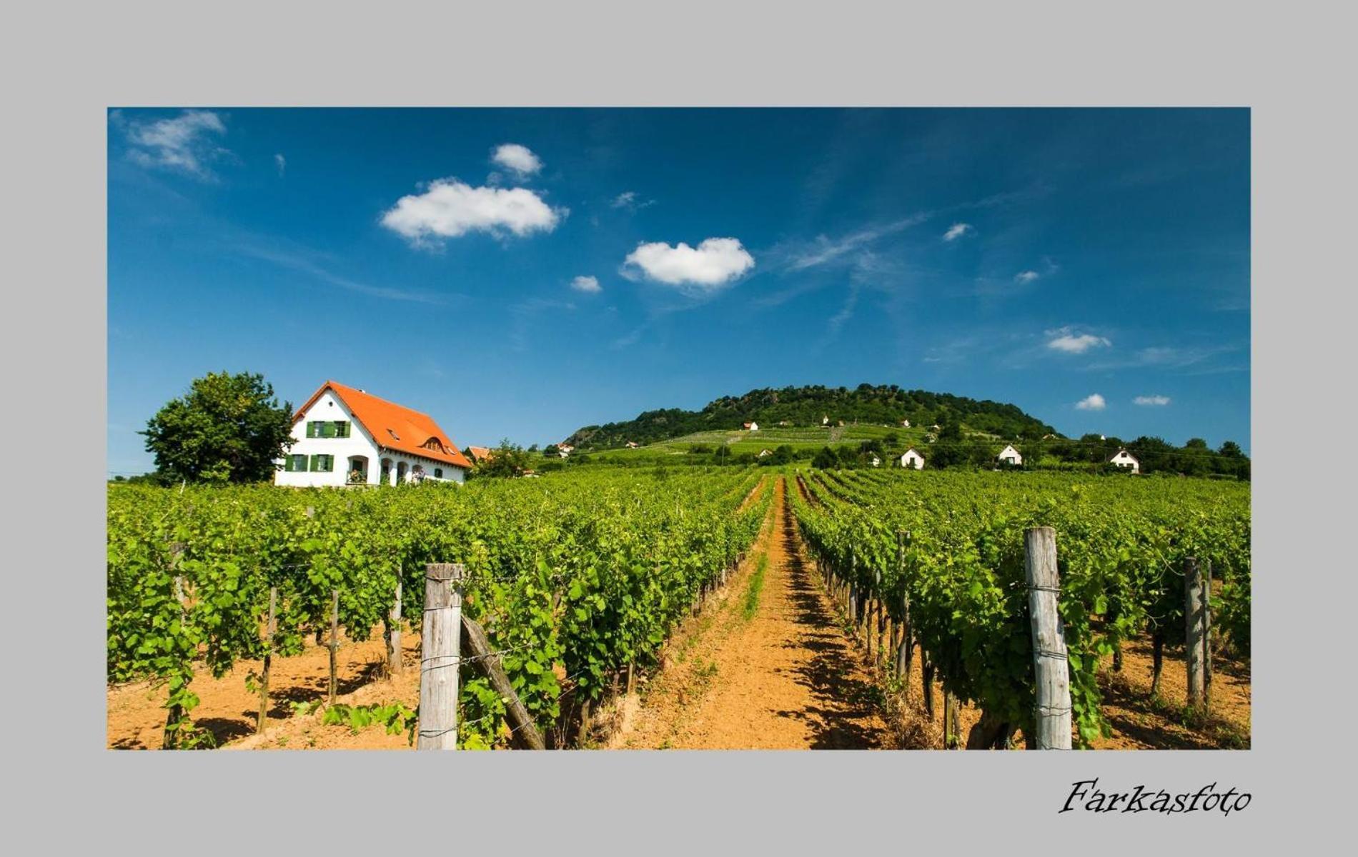 Somlo Kolonics Kuria Hotel Somlovasarhely ภายนอก รูปภาพ